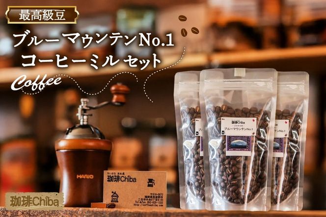 y}szR[q[ uu[}EeNo.1v 300g  uR[q[~v  Zbg [Chiba  }s 21761267] R[q[  COFFEE R[q[~ 蓮 ~ 蓤  ܂ 300O