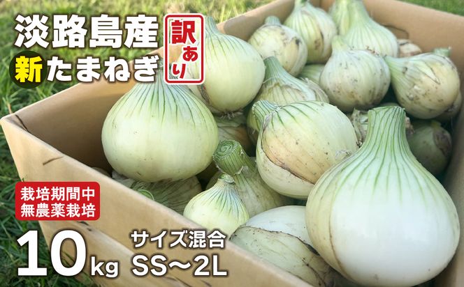 淡路島産 新玉ねぎ 10kg【栽培期間中、無農薬栽培】【訳あり】サイズ混合SS～2L
