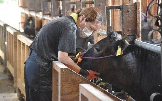 【1500-1】松阪牛1頭分　～牛タンからシャトーブリアンまで余すことなくお届けします～