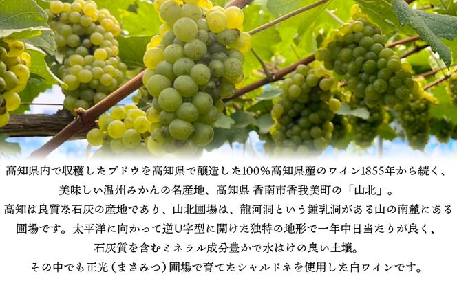高知県産ワイン tosa cavatina 正光園シャルドネ2025 (750ml×1本) - 白 辛口 お酒 さけ アルコール ボトル 瓶 ギフト 送料無料 高知県 香南市 冷蔵 iw-0008
