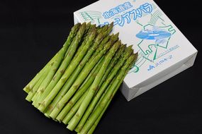 【北海道新冠産】グリーンアスパラ（900ｇ）