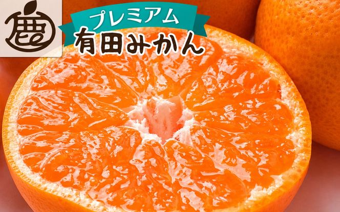 プレミアム 有田みかん（完熟）5kg+250g（傷み補償分）＜11月より順次発送予定＞【ikd114D】