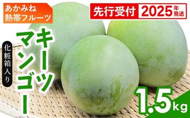 【化粧箱入】【先行受付・2025年発送】あかみね熱帯フルーツのキーツマンゴー約1.5kg