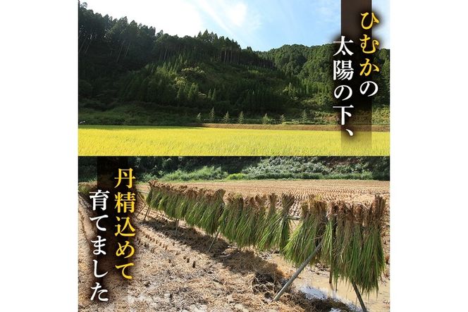 ＜先行予約受付中！2026年10月下旬以降順次発送予定＞＜期間限定・数量限定＞令和8年産 新米 宮崎県門川町産ヒノヒカリ(計10kg・5kg×2袋)お米 精米 白米 ごはん ご飯 ひのひかり 皇室献上米【KM-1】【神舞農園】