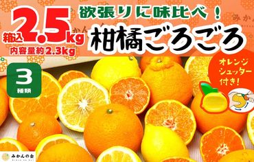 旬の柑橘食べ比べ 柑橘ごろごろ 3種 箱込 2.5kg(内容量 2.3kg) 秀品 優品 混合 和歌山県産 産地直送 【おまけ付き】【みかんの会】AX150