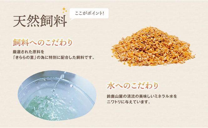 厳選された飼料と鈴鹿山麓の銘水で育った、美味しい卵「きららの里」を新鮮な状態でお届けします。50個（45個＋卵割れ保障5個）【たまご 卵 きららのさと きららの里 50個 おいしい 濃厚 玉子 玉子焼き 卵焼き たまごかけご飯 ゆでたまご 生卵 鶏卵 四日市 日用品 国産 純国産 鶏 ミネラル 赤玉】
