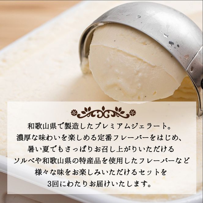 【定期便 全3回 毎月お届け】 和歌山のプレミアムジェラート_V20-T07