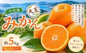 小豆島 みかん 大玉  約5kg フルーツ 果物 香川県 土庄町