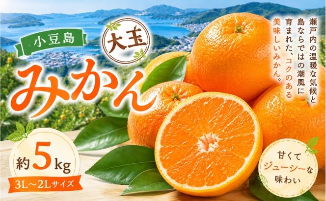 小豆島 みかん 大玉  約5kg フルーツ 果物 香川県 土庄町