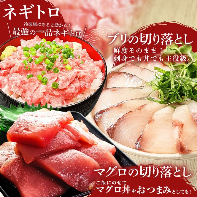 厳選 海鮮5種詰め合わせセット 鰹のタタキ600g マグロ切り落とし200g ブリ切り落とし150g きざみ鰻80g ネギトロ100g かつお カツオ まぐろ 鮪 ぶり うなぎ 冷凍 高知 小分け おいしい 高知県 田野町