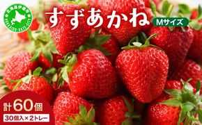 2025年 発送 先行 予約 北海道 伊達市 いちご すずあかね Mサイズ 30個入り 2トレー 60個  苺 イチゴ スイーツ デザート 果物 甘い 赤 鮮やか 新鮮 ケーキ お菓子作り
