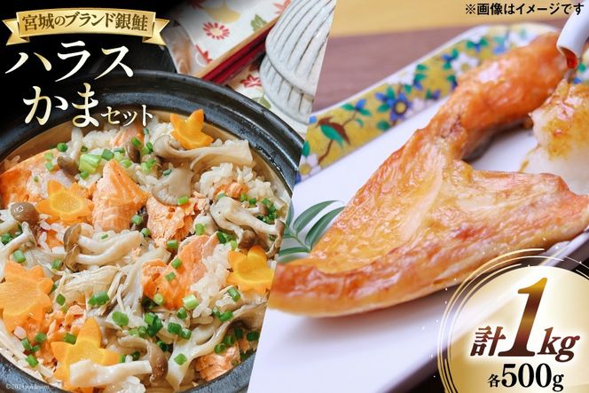 y{錧Oz  nX  Zbg e500g v 1kg [O񂳂}VF {錧 O 30ai0053] Y Ⓚ J} ؐg Ⴏ VP   TP    CN