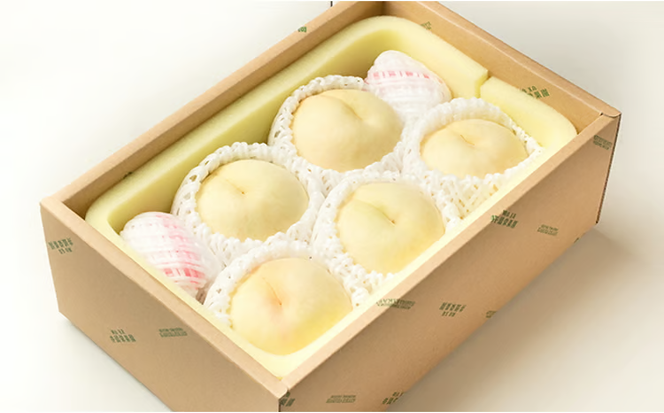 桃 2026年 先行予約 井頭 白桃 4～6玉入り 1.5kg規格箱 もも モモ 岡山県産 国産 フルーツ 果物 ギフト 井頭栄果園 [№5735-1143]