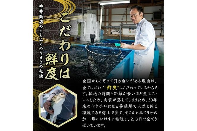 ストックする ふぐひれ (計30枚・15枚×2袋) お手軽 とらふぐ ふぐ フグ ヒレ ひれ ヒレ 焼きひれ 焼きヒレ ひれ酒 小分け 国産 【AB106】【柳井商店】