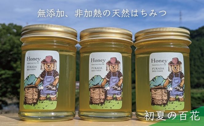 合計690g 天然蜂蜜 国産蜂蜜 非加熱 生はちみつ 岐阜県 美濃市産 初夏 (蜂蜜230g入りガラス瓶3本セット)B3 深田養蜂のハチミツ