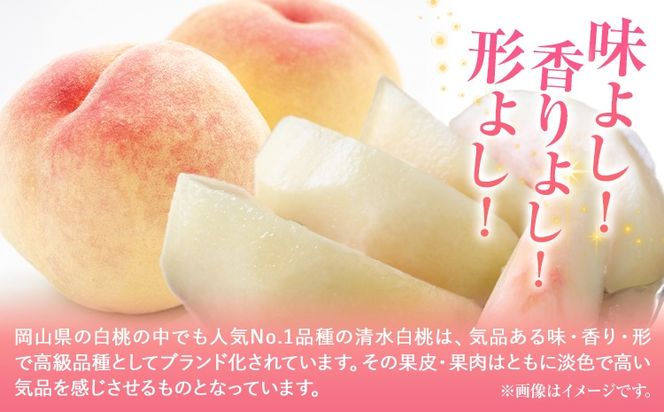 【2027年発送先行予約】清水白桃 先行予約 清水白桃 約1.3kg（5玉） 《2027年7月下旬-8月上旬頃出荷》 桃 清水白桃 白桃 晴れの国おかやま館 フルーツ 果物 果実 岡山県 笠岡市---B-56f---