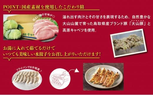 鳥取餃子 鳥取県産ブランド豚使用 60個セット (30個入り×2パック) 312011_DK005