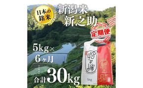 【6カ月定期便】新潟米新之助（精米）5kg お米 コメ 