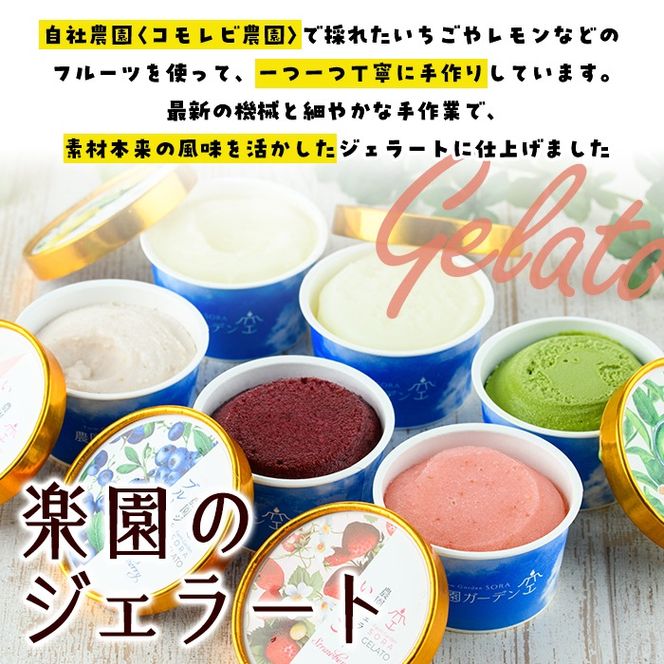 ＼テレビで紹介されました！／農園ガーデン空 楽園のジェラートセット(90ml×6個) ジェラート アイス いちご いちごミルク レモン ブルーベリー 抹茶 デザート スイーツ おやつ 夏 鹿児島 バラエティ バレンタイン ホワイトデー【農園ガーデン空】akn026-12