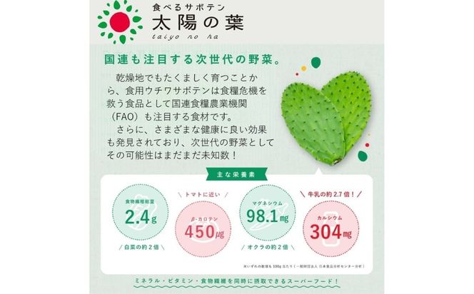 【期間限定】食べるサボテン 太陽の葉 フレッシュリーフ(新芽限定・お試し500g)