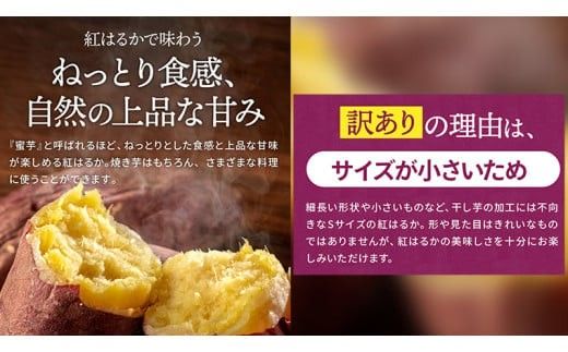 【 塚田商店 】 訳あり 茨城県産 さつま芋 紅はるか Sサイズ 5kg さつまいも サツマイモ いも 芋 イモ [BD009ci]