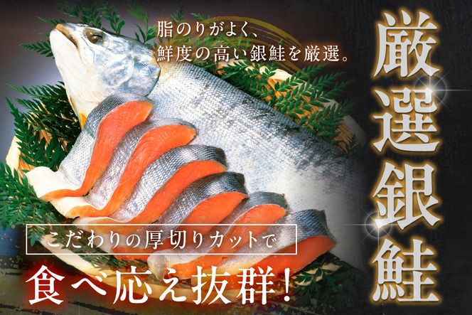 お手軽！絶品！厚切り　塩銀鮭切身 約1kg（プロトン凍結　訳あり　不揃い）　定期便　隔月×3回 ふるさと納税 鮭 しゃけ 銀鮭 切り身 定期便 サーモン ふるさと納税 シャケ　YK00625