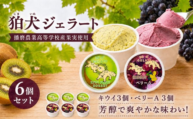 ジェラート 狛犬ジェラート 播磨農業高等学校産 キウイ ベリーA 食べ比べ 計6個セット アイス アイスクリーム 手作り スイーツ ギフト プレゼント お祝い