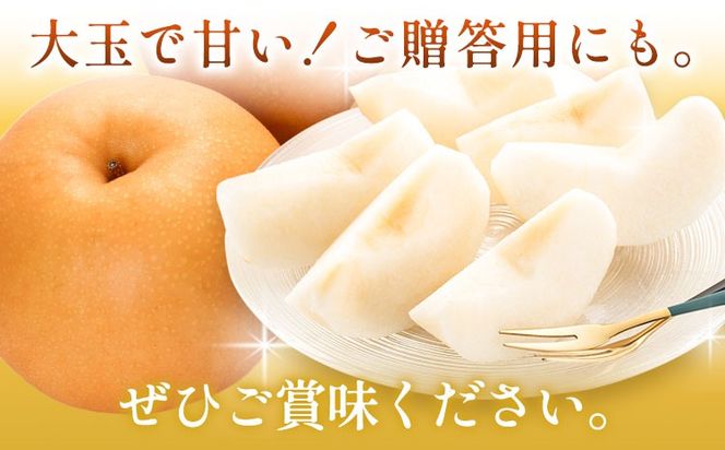 【2026年先行予約】梨 岡山県産 新高梨 約4kg 3～6玉 株式会社山博《2026年9月下旬-11月上旬頃出荷》新高 フルーツ 化粧箱入り 岡山県 笠岡市 送料無料---Y-36a---