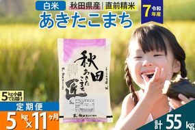 【白米】＜令和7年産＞ 《定期便11ヶ月》秋田県産 あきたこまち 匠 5kg (5kg×1袋)×11回 5キロ お米 |02_snk-010311s