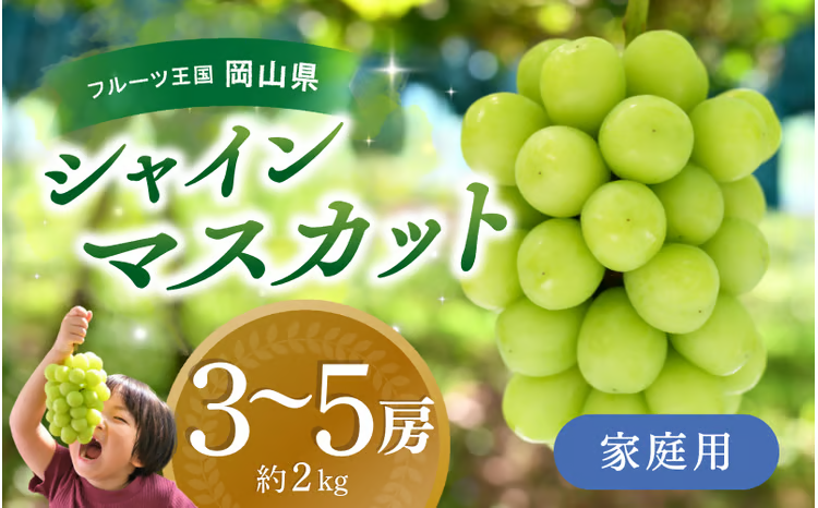 [2026年先行予約] ぶどう 岡山 花笑み農園『シャインマスカット』 家庭用 約2kg(3〜5房) 岡山 真庭 シャインマスカット 家庭用 真庭市 数量限定 9月下旬〜 受付順に発送予定 [hana061-02]
