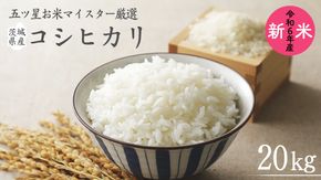 《 令和6年産 》 茨城県産 コシヒカリ 20kg ( 5kg × 4袋 ) 期間限定 こしひかり 米 コメ こめ 五ツ星 高品質 白米 精米 時短 単一米 新米 [AC041us]