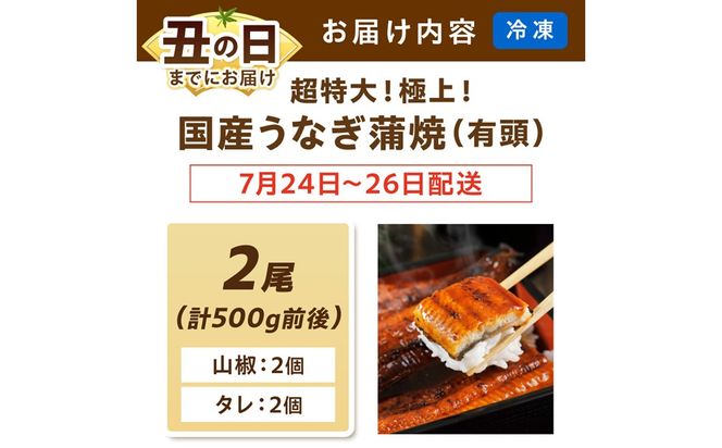 【7月24～26日配送】超特大！極上！国産うなぎ蒲焼 2尾 合計500g前後 ふるさと納税 鰻 九州産 国産 ウナギ 有頭 蒲焼き うな丼 うな重 うなぎ 国産　YK00401_01