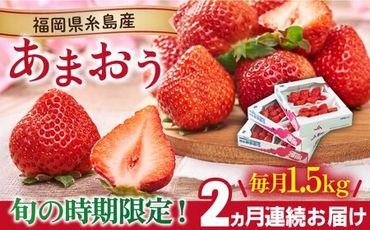 【全2回定期便】【2024年2月上旬より順次発送】糸島産【春】 あまおう 6パック 毎月計1.5kg 糸島市 / 南国フルーツ株式会社 [AIK027]