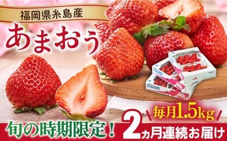 【全2回定期便】【2024年2月上旬より順次発送】糸島産【春】 あまおう 6パック 毎月計1.5kg 糸島市 / 南国フルーツ株式会社 [AIK027]