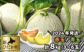 ＜ 2026年 7月中旬より発送 ＞ 北海道産 メロン 赤肉 青肉 8kg 3～6玉 食べ比べ セット ＜ 予約受付 ＞
