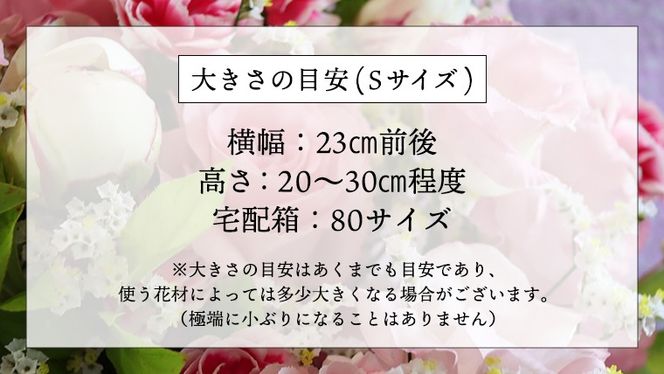 ≪定期便≫季節のお花アレンジメントS＊6回 アレンジメント 生花 [CT017ci]