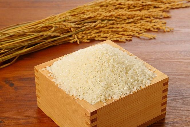 無洗米コシヒカリ 洗わんでいっちゃが10kg K23_0001_1