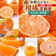 【定期便】家庭用 柑橘定期便 M 12回（毎月）※北海道・沖縄・離島への配送不可※毎月発送