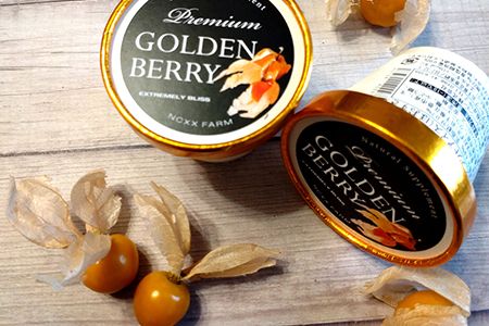 ネクスファームのゴールデンベリープレミアムアイス　4個入りセット 【1938】