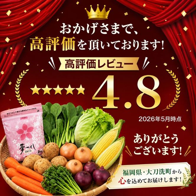 【定期便 年6回】おいしかぁ～便 詰め合わせセット 6ヶ月 お楽しみ ファミリーセット 家族用 野菜 やさい 米 新鮮 新鮮野菜 家庭用 新鮮 福岡県 大刀洗町