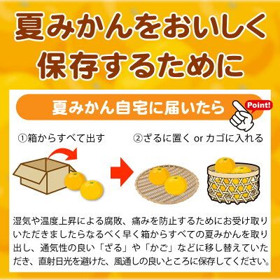 G7074_【2027年先行予約】湯浅産 夏みかん 7.2kg