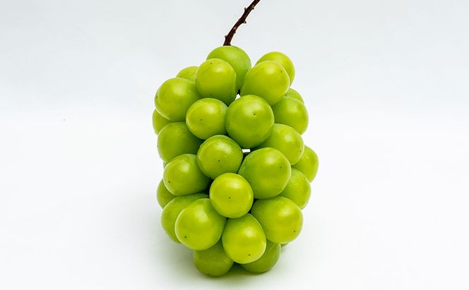 桃 ぶどう 定期便 （隔月） 2026年 先行予約 晴れの国 岡山の フルーツ 定期便 3回 コース 白桃 もも 葡萄 シャイン マスカット 葡萄 岡山産 国産 フルーツ 果物 ギフト 