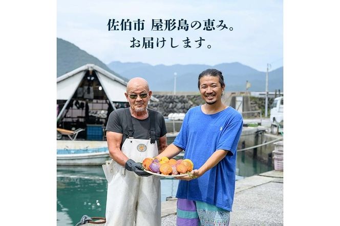 緋扇貝 (計18枚) 海鮮 ヒオウギ貝 BBQ バーベキュー 炭火焼 酒蒸し ご当地 国産 大分県 佐伯市産  屋形島で後藤さんが育てた緋扇貝 大分県 佐伯市【AX61】【後藤緋扇養殖販売】