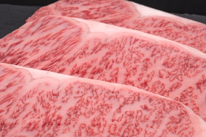 肉 博多和牛 サーロインステーキ 200g 4枚 計 800g 6回 定期便 総計 4.8kg [久田精肉店 福岡県 宇美町 um40bsi440025] 牛 牛肉 サーロイン ステーキ 和牛 ソース ソース付き 福岡県産 冷凍