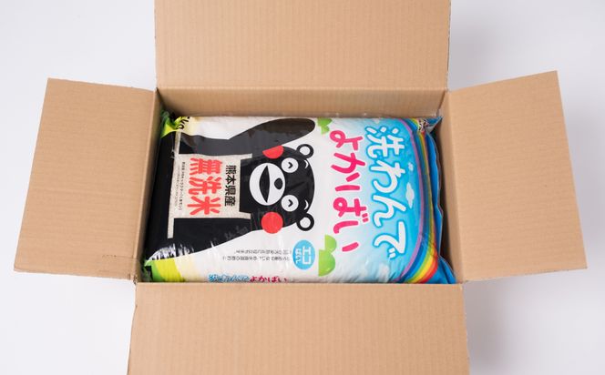《令和7年産》 洗わんでよかばい 5kg 米 お米 精米 白米 無洗米 ごはん ご飯 おにぎり お弁当 熊本県 八代市