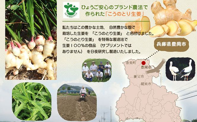 こうのとり生姜セット 9種入り / 刻み生姜の醤油漬け・炊き込みご飯の素・生姜焼きのタレ・生姜シロップ・生姜絞り汁・はちみつおろし生姜・はちみつおろし生姜レモン・蒸し生姜の粉・おろし生姜 / 国産 兵庫県産 こうのとり生姜  ショウガオール しょうが