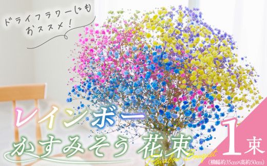 【佳花園】レインボーかすみそう 花束［156K03］