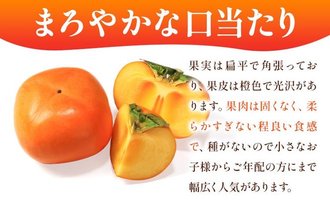 ＜10月より発送＞たねなし柿 選べる 約1kg 約2.5kg 約5kg 約7.5kg 約10kg 刀根早生 平核無柿 ひらたねなしかき 池田鹿蔵農園《10月上旬-12月上旬頃出荷》 和歌山県 日高町 柿 カキ かき たねなし ジューシー フルーツ 種無柿 種無し柿 種なし柿 無核柿---wsh_idn366_10j12j_26_8000_1kg---