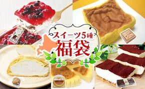 北海道スイーツの福袋 5種 各1個 カステラ チーズケーキ アイスケーキ ティラミス クリームシュー 滝川市