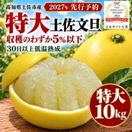 土佐文旦 特大サイズ 10kg 家庭用 約14～17玉 日本ギフト大賞受賞 文旦発祥の地 園主こだわり 収穫の約5％以下 希少 大玉 高知県土佐市産 高知県産 国産 10キロ ぶんたん みかん 柑橘類 高級フルーツ 果物 産地直送 お取り寄せ ギフト 先行予約 やの一果彩[BQAC006]